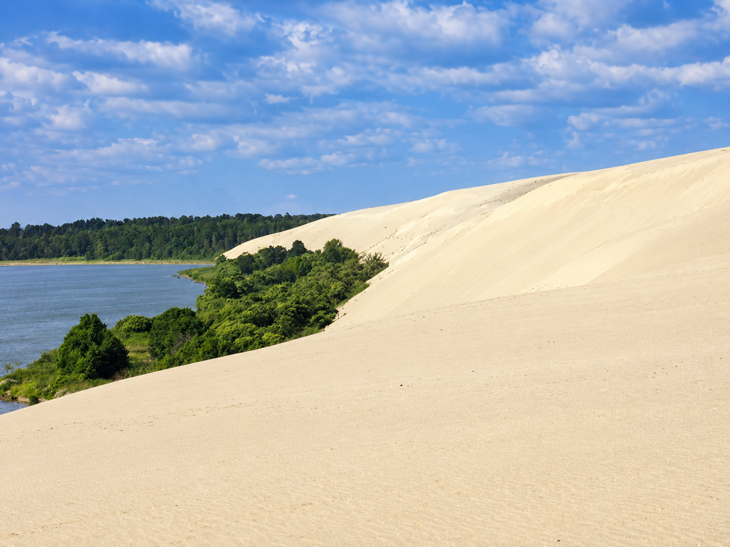 Pale sand dunes, forest and lagoon on the Curonian Spit